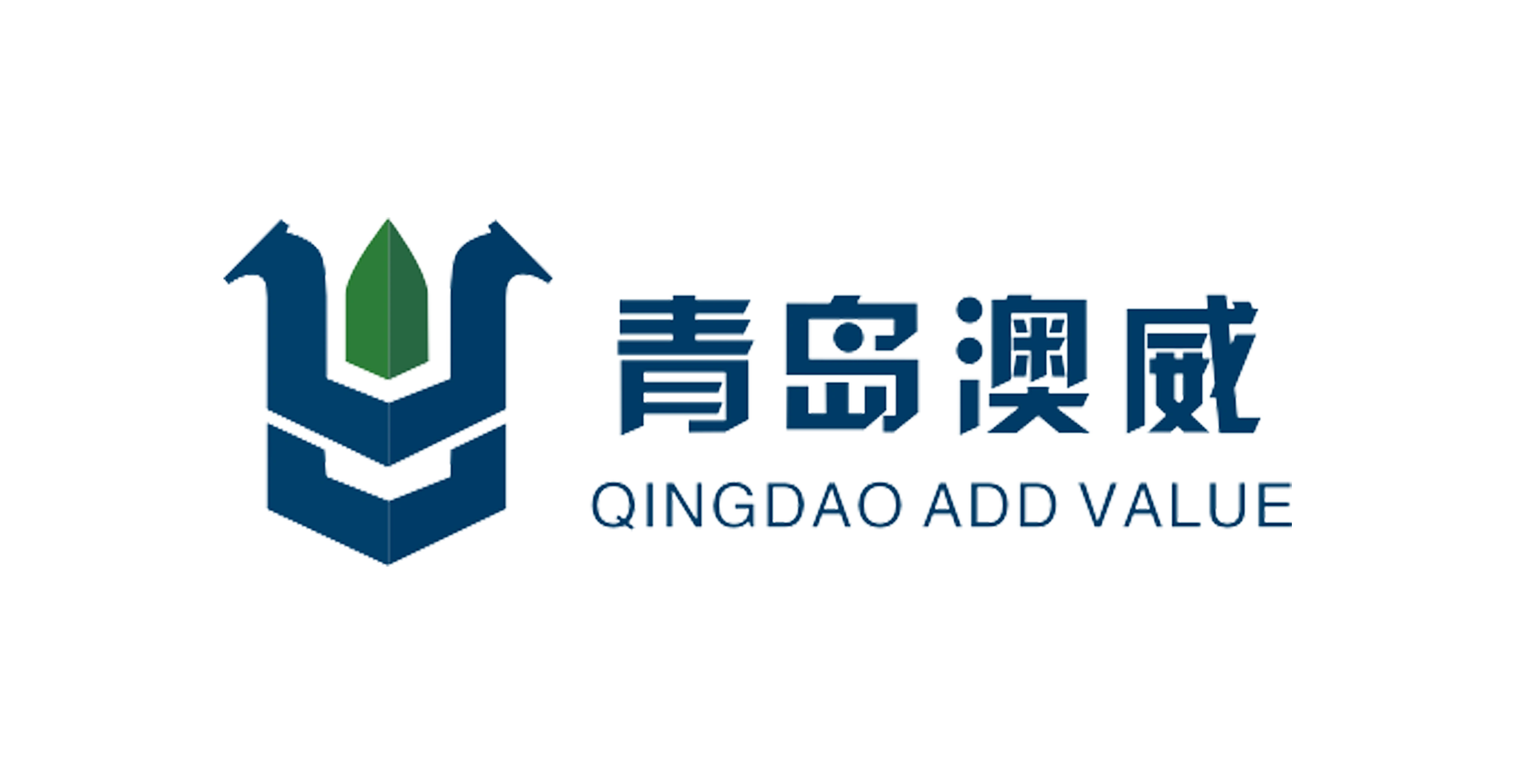Qingdao Add Value Flow Metering Co, Ltd.