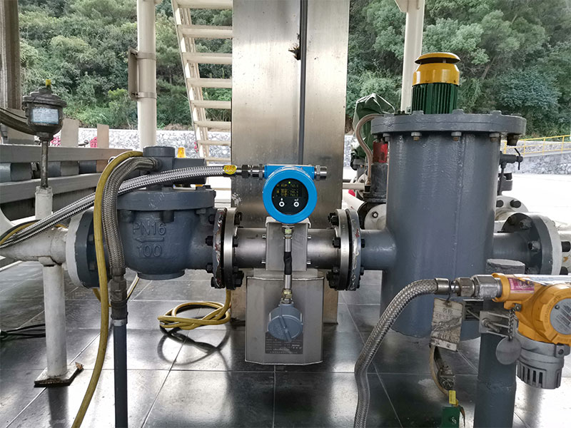 Online density meter case