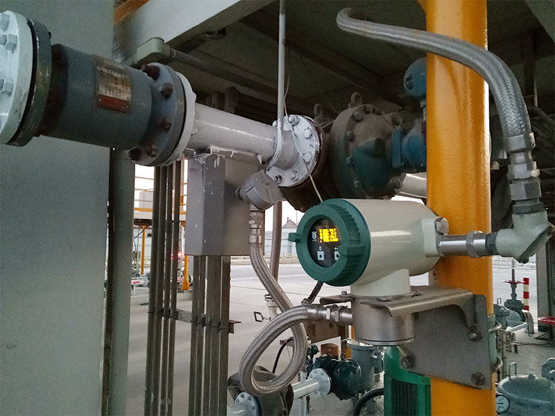 Online density meter case