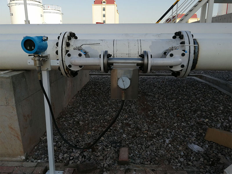 Online density meter case