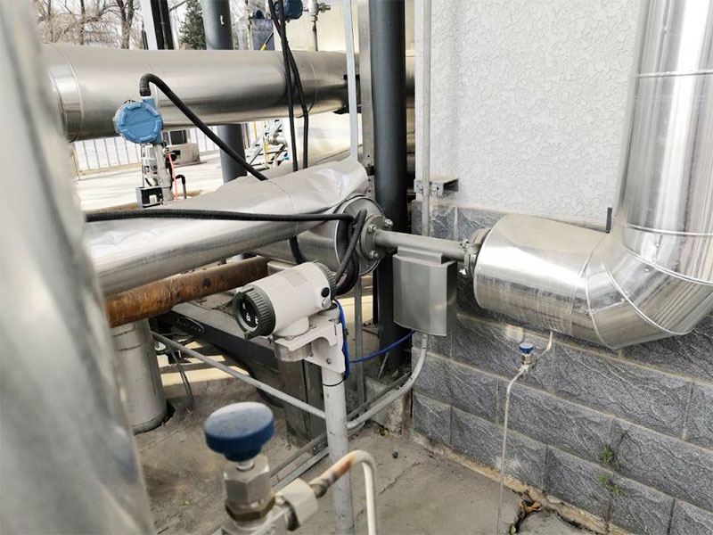 Online density meter case