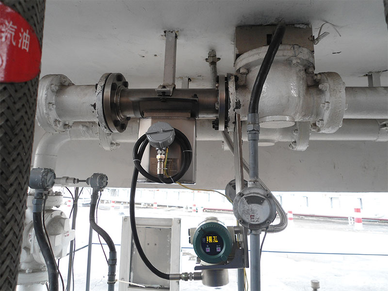 Online density meter case