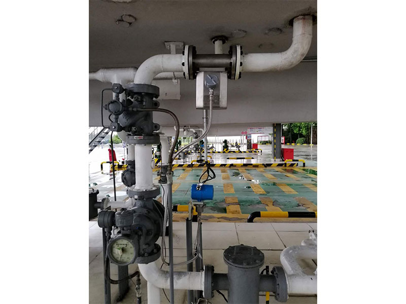 Online density meter case