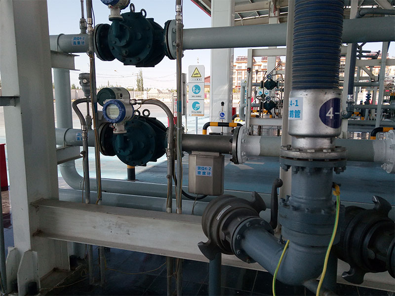 Online density meter case