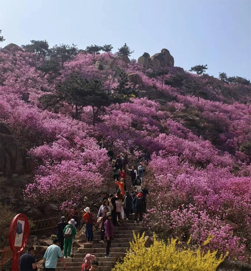 DazhuMountain Climbing Team Building activity