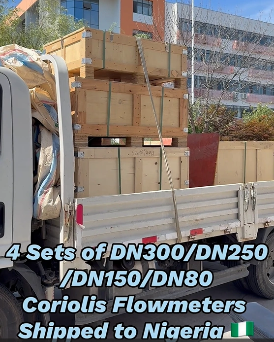 4 Sets of DN300/DN250/DN150/DN80 Coriolis Flowmeters Shipped to Nigeria